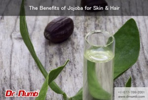Jojoba for Skin and Hair